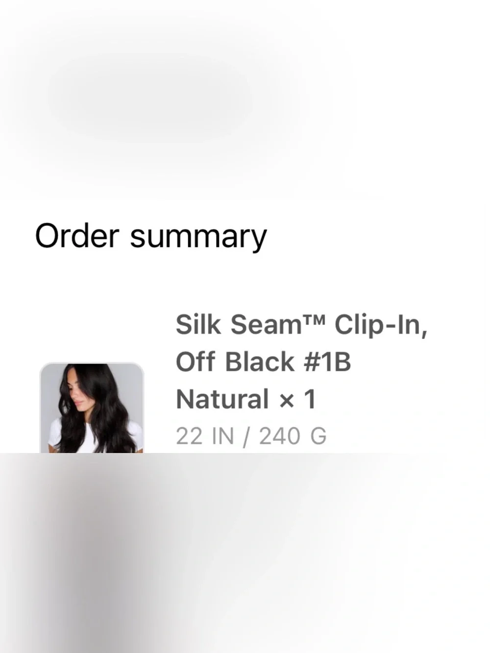 Bellami Clip-In Off-Black Silk Seam 1B 22”